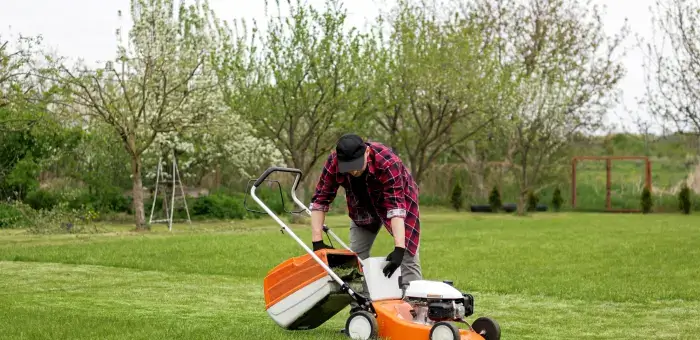 Mowing the lawn