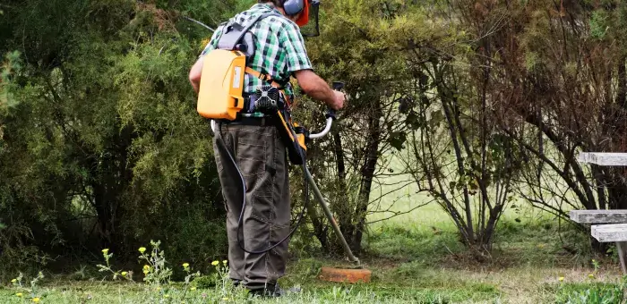 Brushing / Weeding