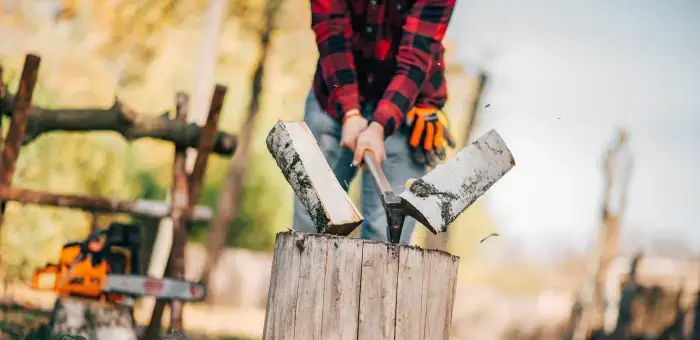 Cutting firewood