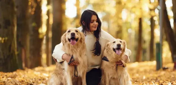 Dog sitting
