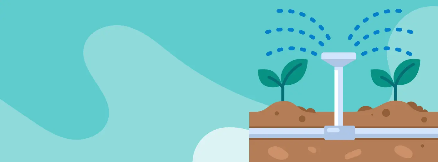 Sprinkler installation