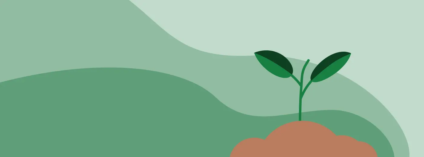 Cultivating a garden