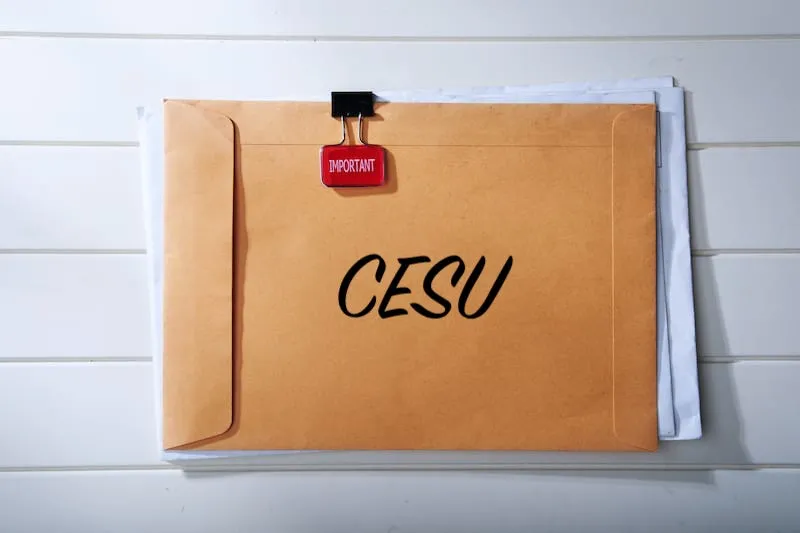 Une enveloppe importante avec l'inscription CESU