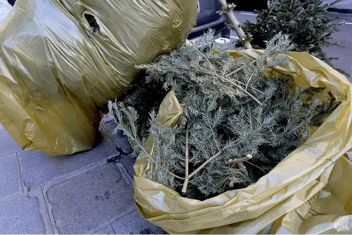 Enlever le sapin de Noël