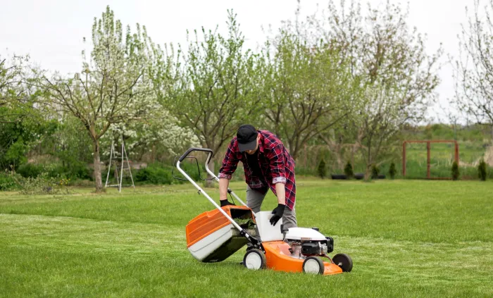 Tondre la pelouse