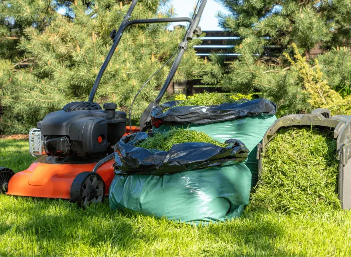 Enlèvement de déchets verts