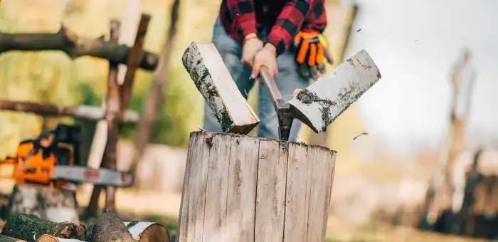 Taglio della legna da ardere